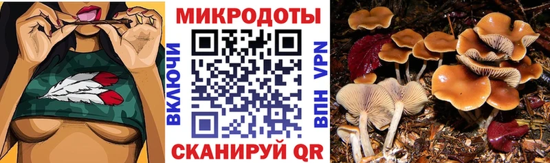Галлюциногенные грибы Cubensis  мега ONION  Орёл  где можно купить наркотик 